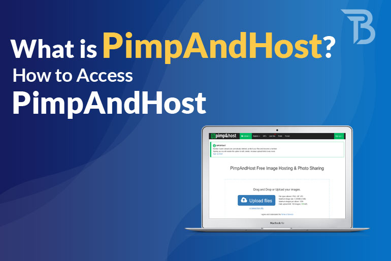 PimpAndHost