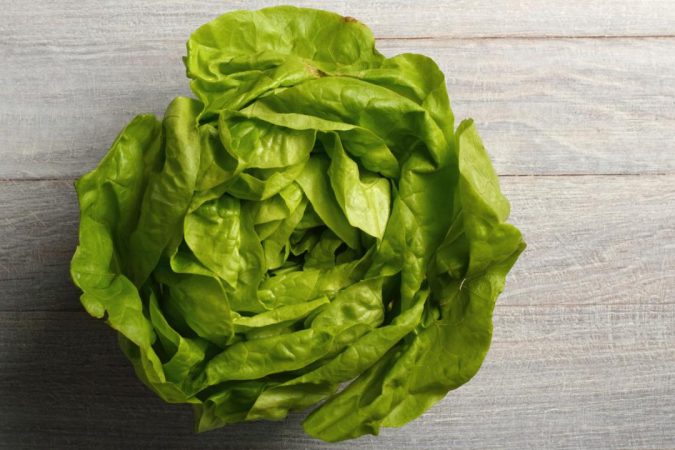 Bibb Lettuce